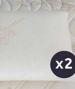 Bellecour Lot De 2 Oreillers 60x60 Mémoire De Forme