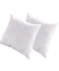 Olympe Lot De 2 Oreillers 65x65 Duvet & Plumes S