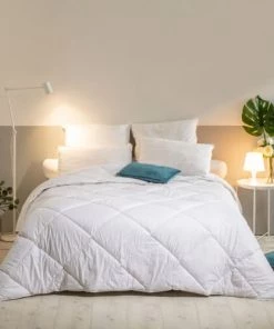 Bleu Câlin Lot De 2 Oreillers à Copeaux De Mousse Mémoire De Forme 60x60cm -Sommiers Soldes lot de 2 oreillers a copeaux de mousse memoire de forme 60x60cm 2