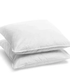 Bleu Câlin Lot De 2 Oreillers à Copeaux De Mousse Mémoire De Forme 60x60cm