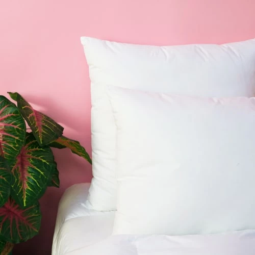 WAKE ME GREEN Lot De 2 Oreillers MEDIUM Extra-Doux - Coton Bio 60x60 Cm 7 WAKE ME GREEN Lot De 2 Oreillers MEDIUM Extra-Doux - Coton Bio 60x60 Cm – Image 5