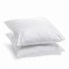 Bleu Câlin Lot De 2 Oreillers Moelleux Enveloppe Coton Bio Gots 60x60cm