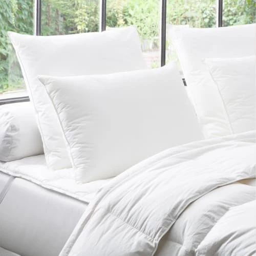 Dodo Oreillers Oreiller Aero Soft 65x65 Cm 4 Dodo Oreillers Oreiller Aero Soft 65x65 Cm – Image 2