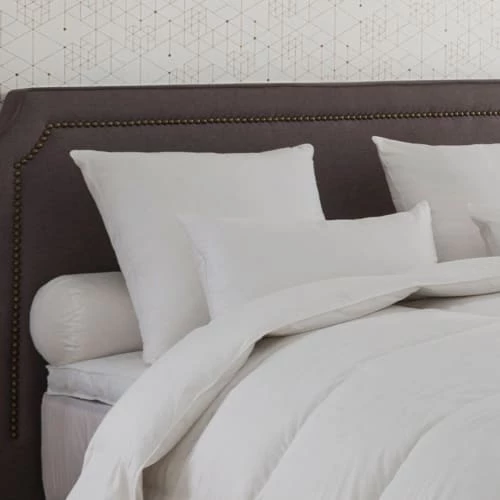 Drouault Oreillers Oreiller Alaska 40% Duvet - MEDIUM 65x65 Cm 4 Drouault Oreillers Oreiller Alaska 40% Duvet - MEDIUM 65x65 Cm – Image 2