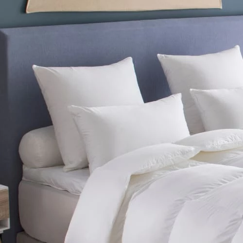 Drouault Oreillers Oreiller Canada - MOELLEUX 50x70 Cm 4 Drouault Oreillers Oreiller Canada - MOELLEUX 50x70 Cm – Image 2