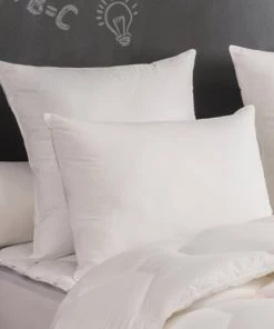 Dodo Oreillers Oreiller Eco Planète - Moelleux 60x60 Cm -Sommiers Soldes oreiller eco planete moelleux 60x60 cm 1