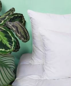 WAKE ME GREEN Oreillers Oreiller FERME 10% Duvet - Coton Bio 50x75 Cm -Sommiers Soldes oreiller ferme 10 duvet coton bio 50x75 cm 4
