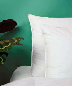 WAKE ME GREEN Oreillers Oreiller FERME Sensation Duvet - Coton 50x70 Cm 11 WAKE ME GREEN Oreillers Oreiller FERME Sensation Duvet - Coton 50x70 Cm -Sommiers Soldes oreiller ferme sensation duvet coton 50x70 cm 4