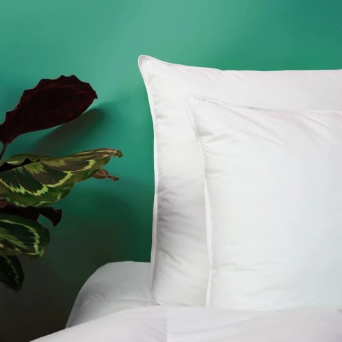 WAKE ME GREEN Oreillers Oreiller FERME Sensation Duvet - Coton 50x70 Cm 7 WAKE ME GREEN Oreillers Oreiller FERME Sensation Duvet - Coton 50x70 Cm – Image 5