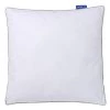 Bleu Câlin Oreillers Oreiller Gonflant Ultra Confort Enveloppe Coton Percale 65x65cm
