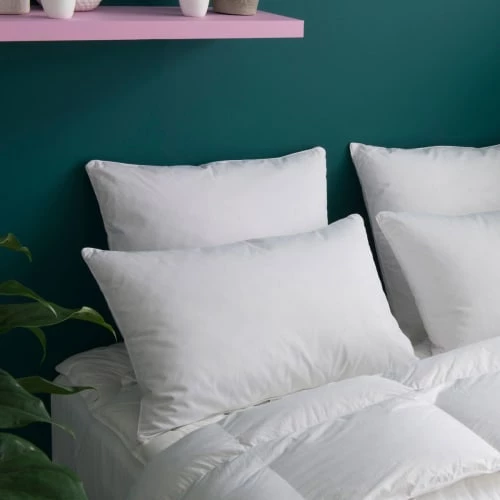 WAKE ME GREEN Oreillers Oreiller MEDIUM 30% Duvet Anti-acariens - Coton Bio 50x75 Cm 4 WAKE ME GREEN Oreillers Oreiller MEDIUM 30% Duvet Anti-acariens - Coton Bio 50x75 Cm – Image 2
