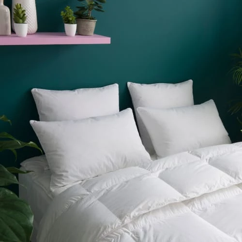 WAKE ME GREEN Oreillers Oreiller MEDIUM 30% Duvet Anti-acariens - Coton Bio 50x75 Cm 7 WAKE ME GREEN Oreillers Oreiller MEDIUM 30% Duvet Anti-acariens - Coton Bio 50x75 Cm – Image 5