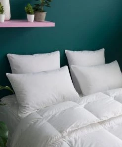 WAKE ME GREEN Oreillers Oreiller MEDIUM 30% Duvet Anti-acariens - Coton Bio 65x65 Cm -Sommiers Soldes oreiller medium 30 duvet anti acariens coton bio 65x65 cm 4