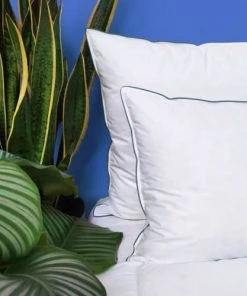 WAKE ME GREEN Oreillers Oreiller MEDIUM 40% Duvet - Coton Bio 65x65 Cm -Sommiers Soldes oreiller medium 40 duvet coton bio 65x65 cm 4