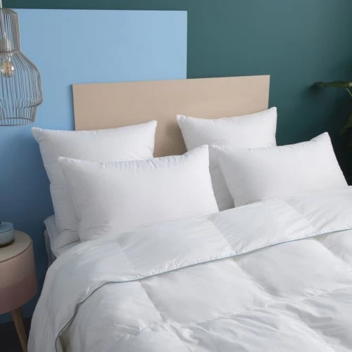 WAKE ME GREEN Oreillers Oreiller MEDIUM 70% Duvet - 3 Compartiments - Coton 50x75 Cm 7 WAKE ME GREEN Oreillers Oreiller MEDIUM 70% Duvet - 3 Compartiments - Coton 50x75 Cm – Image 5