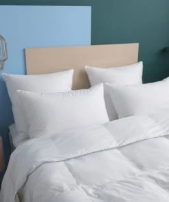WAKE ME GREEN Oreillers Oreiller MEDIUM 70% Duvet - 3 Compartiments - Coton 65x65 Cm 11 WAKE ME GREEN Oreillers Oreiller MEDIUM 70% Duvet - 3 Compartiments - Coton 65x65 Cm -Sommiers Soldes oreiller medium 70 duvet 3 compartiments coton 65x65 cm 4