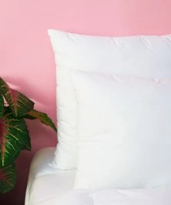 WAKE ME GREEN Oreillers Oreiller MEDIUM Extra-Doux - Coton Bio 60x60 Cm -Sommiers Soldes oreiller medium extra doux coton bio 60x60 cm 4