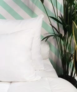 WAKE ME GREEN Oreillers Oreiller MEDIUM Mémoire De Forme - Coton Bio 65x65 Cm 11 WAKE ME GREEN Oreillers Oreiller MEDIUM Mémoire De Forme - Coton Bio 65x65 Cm -Sommiers Soldes oreiller medium memoire de forme coton bio 65x65 cm 4