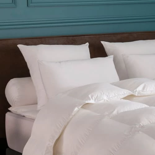 Drouault Oreillers Oreiller MEDIUM Toucher Duvet 50x70 Cm 4 Drouault Oreillers Oreiller MEDIUM Toucher Duvet 50x70 Cm – Image 2