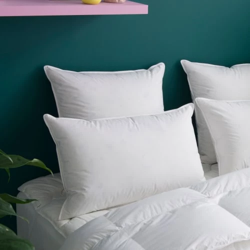 WAKE ME GREEN Oreillers Oreiller MOELLEUX 80% Duvet - Coton 50x75 Cm 4 WAKE ME GREEN Oreillers Oreiller MOELLEUX 80% Duvet - Coton 50x75 Cm – Image 2