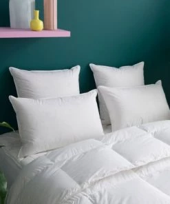 WAKE ME GREEN Oreillers Oreiller MOELLEUX 80% Duvet - Coton 50x75 Cm 11 WAKE ME GREEN Oreillers Oreiller MOELLEUX 80% Duvet - Coton 50x75 Cm -Sommiers Soldes oreiller moelleux 80 duvet coton 50x75 cm 4