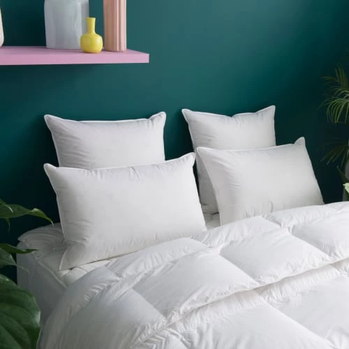 WAKE ME GREEN Oreillers Oreiller MOELLEUX 80% Duvet - Coton 50x75 Cm 7 WAKE ME GREEN Oreillers Oreiller MOELLEUX 80% Duvet - Coton 50x75 Cm – Image 5