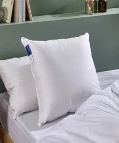 Bleu Câlin Oreillers Oreiller Moelleux 90% Duvet De Canard Enveloppe Coton Percale 60x60cm -Sommiers Soldes oreiller moelleux 90 duvet de canard enveloppe coton percale 60x60cm 1