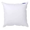 Bleu Câlin Oreillers Oreiller Moelleux 90% Duvet De Canard Enveloppe Coton Percale 60x60cm -Sommiers Soldes oreiller moelleux 90 duvet de canard enveloppe coton percale 60x60cm