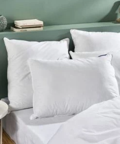 Bleu Câlin Oreillers Oreiller Moelleux 90% Duvet De Canard Enveloppe Coton Percale 60x60cm -Sommiers Soldes oreiller moelleux 90 duvet de canard enveloppe coton percale 60x60cm 2