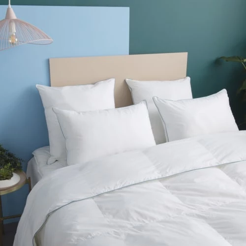 WAKE ME GREEN Oreillers Oreiller MOELLEUX Préserve Les Océans - Coton Bio 60x60 Cm 7 WAKE ME GREEN Oreillers Oreiller MOELLEUX Préserve Les Océans - Coton Bio 60x60 Cm – Image 5