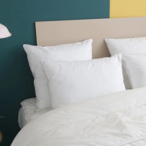 WAKE ME GREEN Oreillers Oreiller MOELLEUX Toucher Duvet - Coton 50x70 Cm 4 WAKE ME GREEN Oreillers Oreiller MOELLEUX Toucher Duvet - Coton 50x70 Cm – Image 2