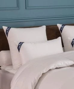 Drouault Oreillers Oreiller Naturel En Plumes Blanc 65x65 5 Drouault Oreillers Oreiller Naturel En Plumes Blanc 65x65 -Sommiers Soldes oreiller naturel en plumes blanc 65x65 2