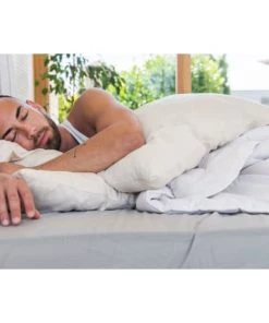 Pilimpi Oreillers Oreiller Naturel Ferme Coton Bio - 100% LAINE VIERGE-60 X 60 Cm 13 Pilimpi Oreillers Oreiller Naturel Ferme Coton Bio - 100% LAINE VIERGE-60 X 60 Cm -Sommiers Soldes oreiller naturel ferme coton bio 100 laine vierge 60 x 60 cm 5