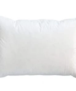 Castex Oreillers Oreiller Naturel Mi-ferme En Plumes Et Duvet 50x70 Cm