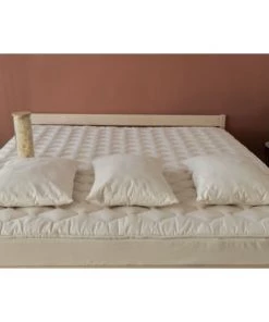 Pilimpi Oreillers Oreiller Naturel Moelleux Coton Bio - Latex / Laine Vierge-70 X 50 Cm -Sommiers Soldes oreiller naturel moelleux coton bio latex laine vierge 70 x 50 cm 3