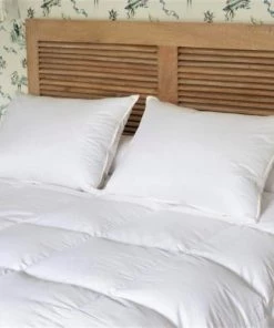 Castex Oreillers Oreiller Naturel Moelleux En Duvet Et Coton Bio 50x70 Cm -Sommiers Soldes oreiller naturel moelleux en duvet et coton bio 50x70 cm 2