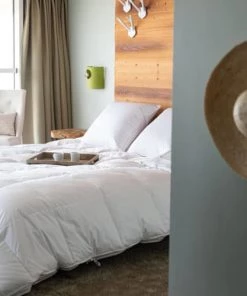 Castex Oreillers Oreiller Naturel Moelleux En Duvet Et Coton Bio 60x60 Cm 9 Castex Oreillers Oreiller Naturel Moelleux En Duvet Et Coton Bio 60x60 Cm -Sommiers Soldes oreiller naturel moelleux en duvet et coton bio 60x60 cm 2