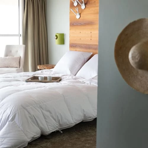 Castex Oreillers Oreiller Naturel Moelleux En Duvet Et Coton Bio 60x60 Cm 5 Castex Oreillers Oreiller Naturel Moelleux En Duvet Et Coton Bio 60x60 Cm – Image 3