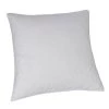 Drouault Oreillers Oreiller Planète - 15% Duvet Oie - FERME 50x75 Cm