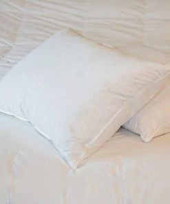 Castex Oreillers Oreiller Plat Naturel Moelleux En Plumes Et Duvet 50x70 Cm 9 Castex Oreillers Oreiller Plat Naturel Moelleux En Plumes Et Duvet 50x70 Cm -Sommiers Soldes oreiller plat naturel moelleux en plumes et duvet 50x70 cm 2