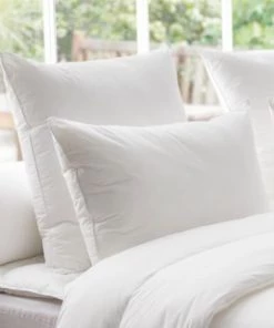 Dodo Oreillers Oreiller Thermoduv 70% Duvet D'Oie MEDIUM 60x60 Cm 6 Dodo Oreillers Oreiller Thermoduv 70% Duvet D'Oie MEDIUM 60x60 Cm -Sommiers Soldes oreiller thermoduv 70 duvet d oie medium 60x60 cm 1