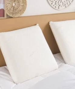 Dunlopillo Oreillers Oreiller Visco Nature 60x60 Cm -Sommiers Soldes oreiller visco nature 60x60 cm 1