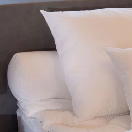 Dodo Oreillers Traversin Columbia 160 Cm 4 Dodo Oreillers Traversin Columbia 160 Cm – Image 2