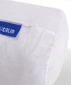 Bleu Câlin Oreillers Traversin Confort Ferme Enveloppe Coton 160cm 7 Bleu Câlin Oreillers Traversin Confort Ferme Enveloppe Coton 160cm -Sommiers Soldes traversin confort ferme enveloppe coton 160cm 2