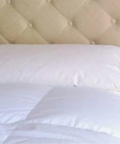 Castex Oreillers Traversin Plat Naturel Moelleux En Plumes Et Duvet 200 Cm 8 Castex Oreillers Traversin Plat Naturel Moelleux En Plumes Et Duvet 200 Cm -Sommiers Soldes traversin plat naturel moelleux en plumes et duvet 200 cm 1