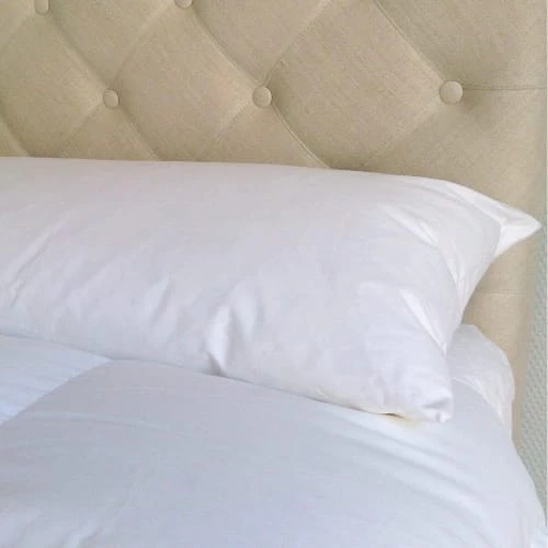 Castex Oreillers Traversin Plat Naturel Moelleux En Plumes Et Duvet 90 Cm 4 Castex Oreillers Traversin Plat Naturel Moelleux En Plumes Et Duvet 90 Cm – Image 2